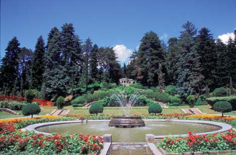 Il giardino di Villa Toeplitz a Varese