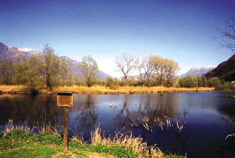 L'oasi naturalistica "Bolle di Magadino", dove il Ticino imissario forma il lago