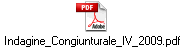 Indagine_Congiunturale_IV_2009.pdf